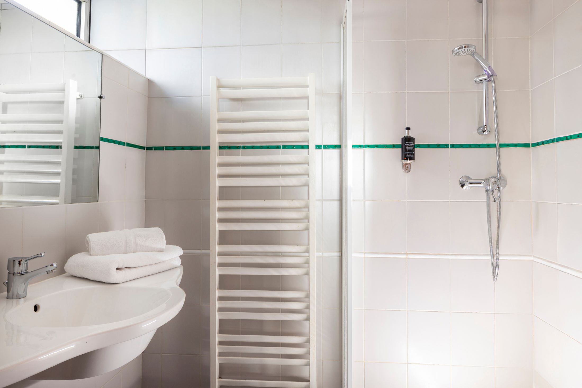 Hotel de l'Arve by HappyCulture - douche